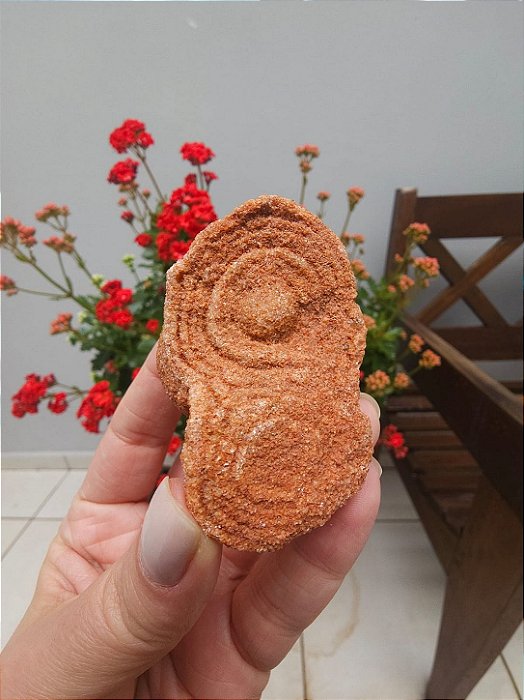 Estromatólito