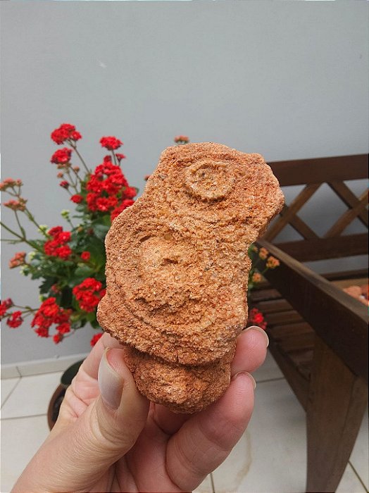 Estromatólito