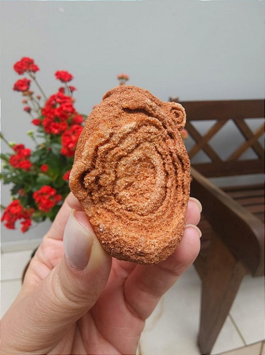 Estromatólito