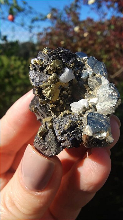 Calcopirita, Galena, Quartzo e Pirita