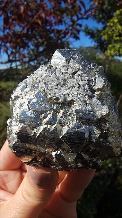 Pirita Peruana
