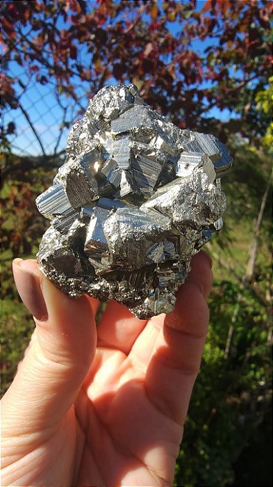 Pirita Peruana