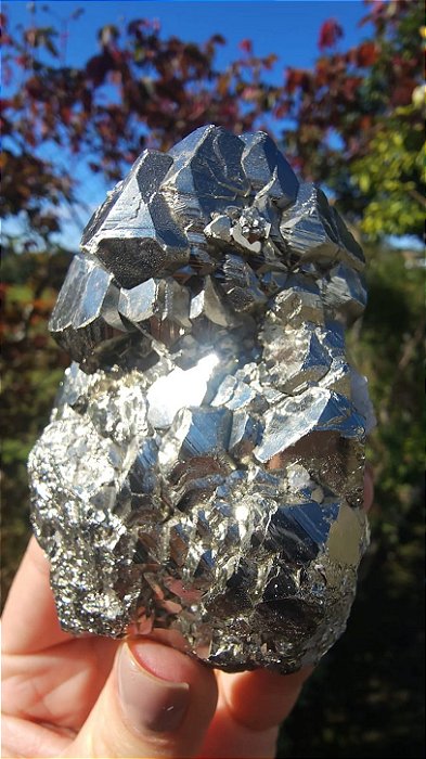Pirita Peruana