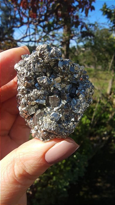 Pirita Peruana