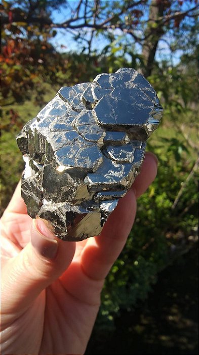 Pirita Peruana