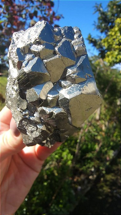 Pirita Peruana