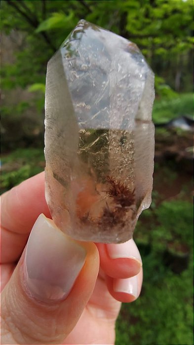 Cristal com Rutilo Carrapicho