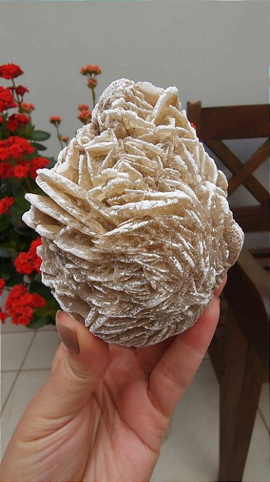 Rosa do Deserto