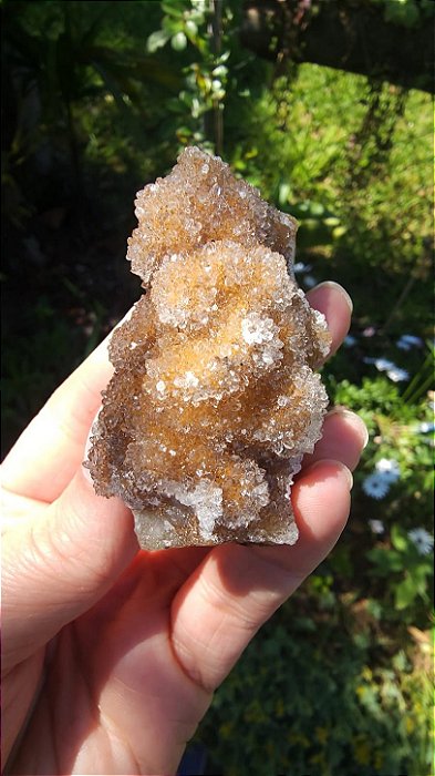 Calcedônia Sugar