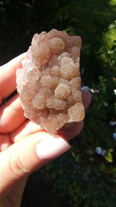 Calcedônia Sugar