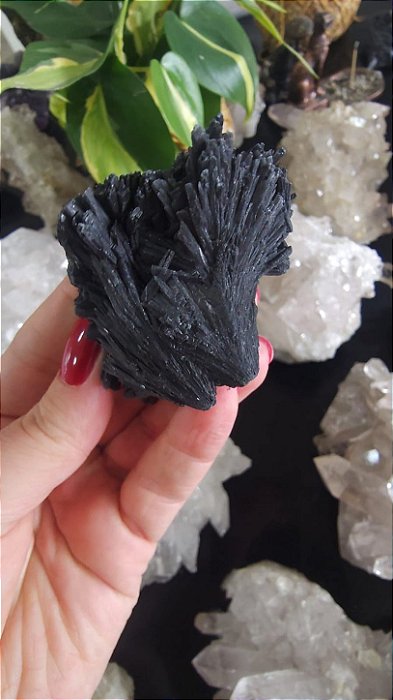 Cianita Negra - Vassoura de Bruxa