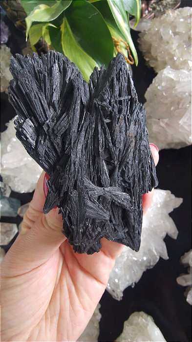 Cianita Negra - Vassoura de Bruxa