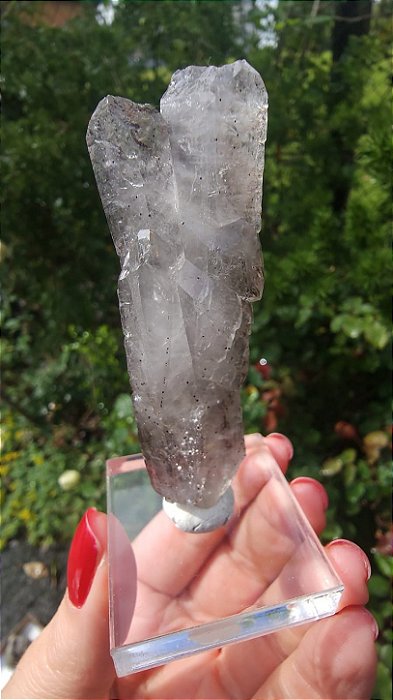 Quartzo Coberto de Hematita