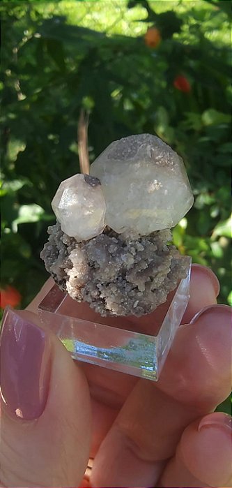 Leucita Argentina