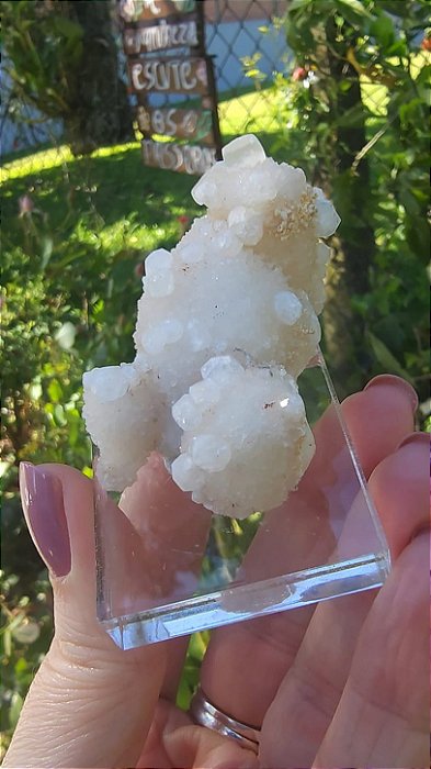 Leucita Argentina