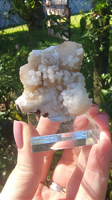 Leucita Argentina