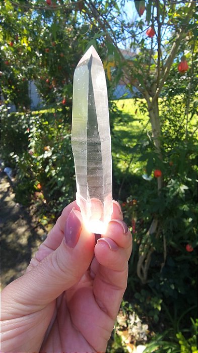 Lemuriano Extra