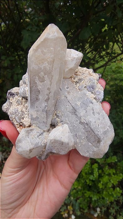 Drusa de Quartzo com Lepidolita