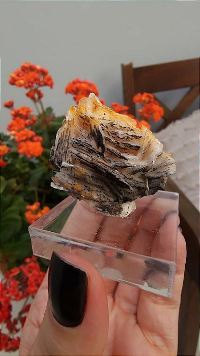 Barita Marroquina Negra