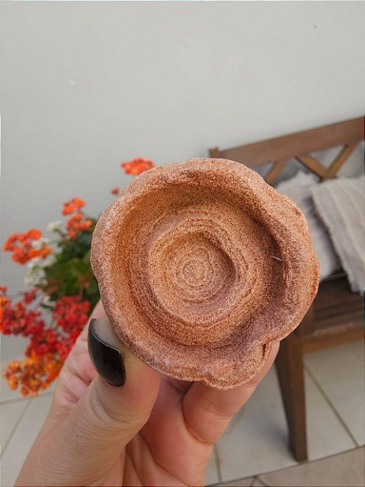 Estromatólito