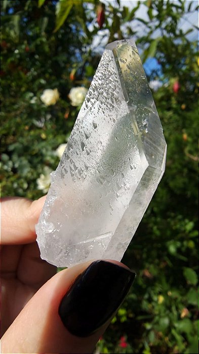 Cristal Semente Estelar