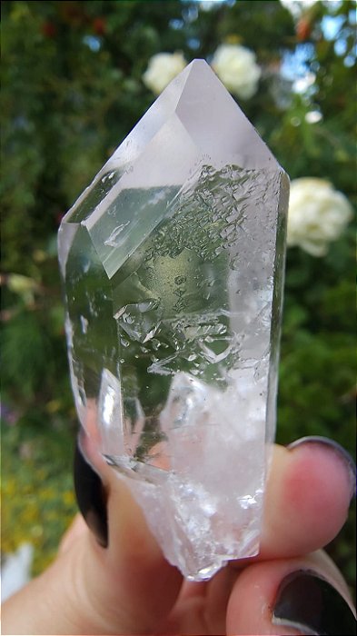 Cristal Semente Estelar com Elo do Tempo Passado e Futuro