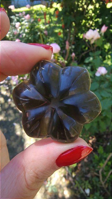 Agni Manitite – Peróla do Fogo Sagrado