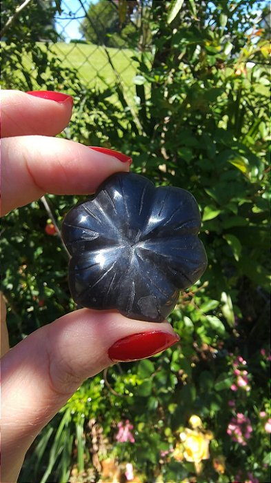 Agni Manitite – Peróla do Fogo Sagrado