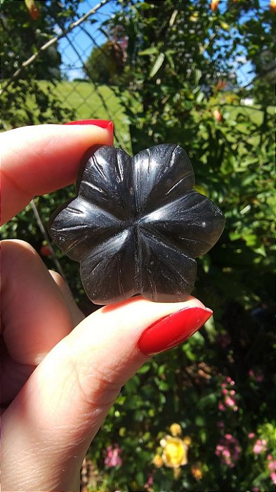 Agni Manitite – Peróla do Fogo Sagrado