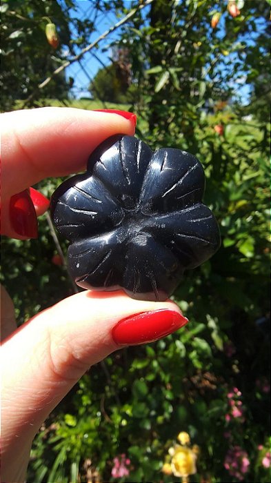 Agni Manitite – Peróla do Fogo Sagrado