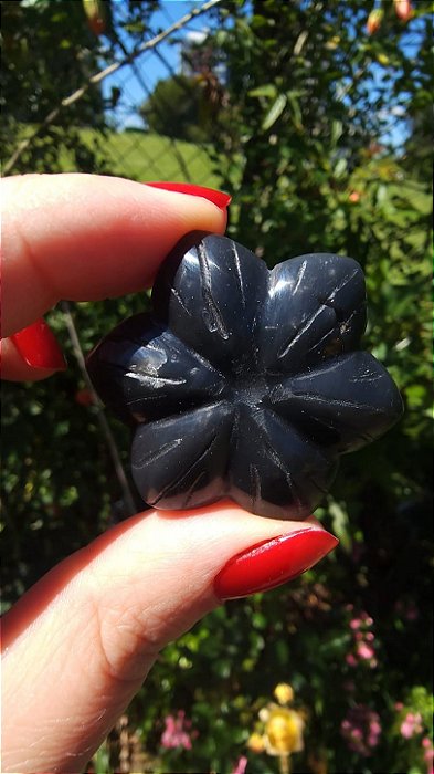 Agni Manitite – Peróla do Fogo Sagrado