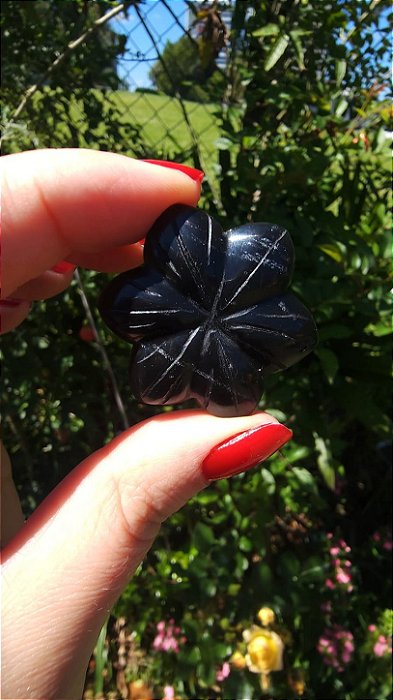 Agni Manitite – Peróla do Fogo Sagrado