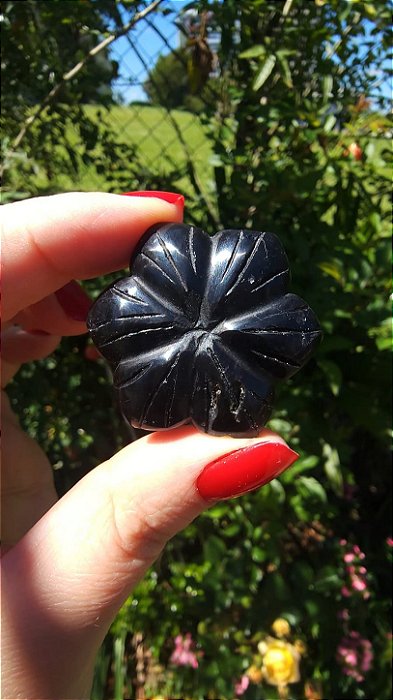 Agni Manitite – Peróla do Fogo Sagrado