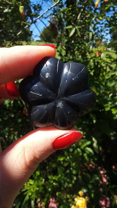 Agni Manitite – Peróla do Fogo Sagrado