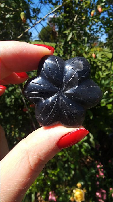 Agni Manitite – Peróla do Fogo Sagrado
