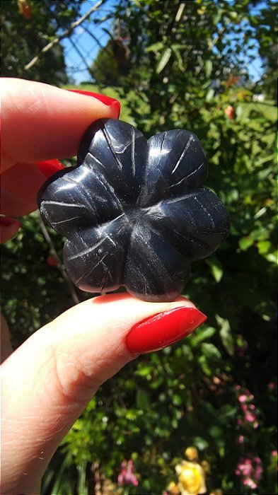Agni Manitite – Peróla do Fogo Sagrado