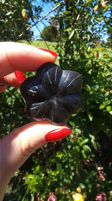Agni Manitite – Peróla do Fogo Sagrado
