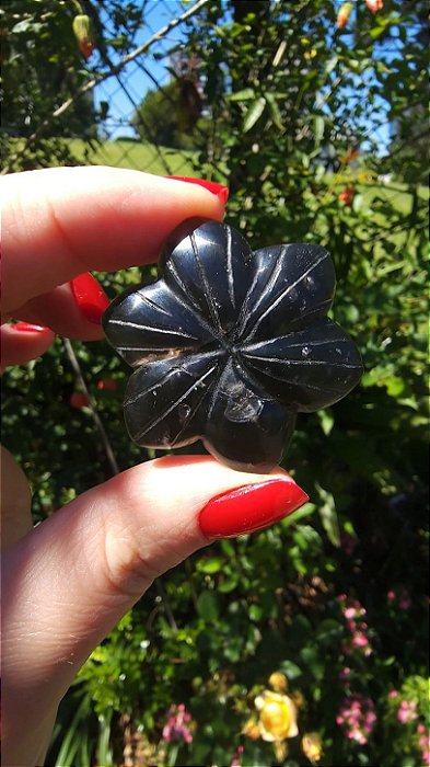 Agni Manitite – Peróla do Fogo Sagrado