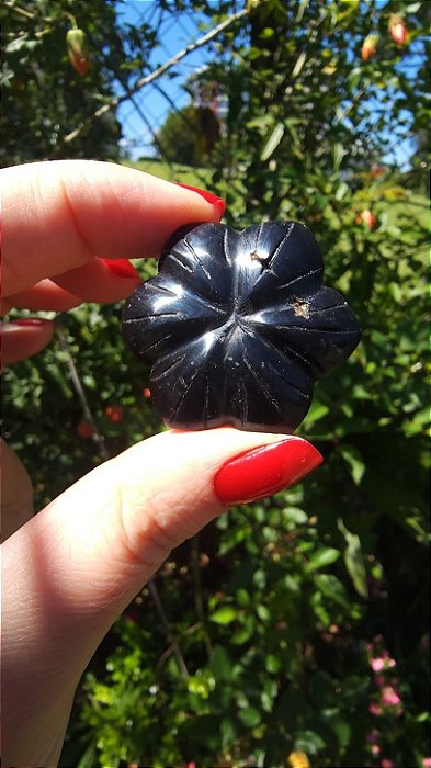 Agni Manitite – Peróla do Fogo Sagrado