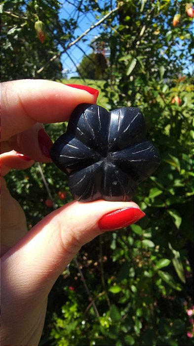Agni Manitite – Peróla do Fogo Sagrado