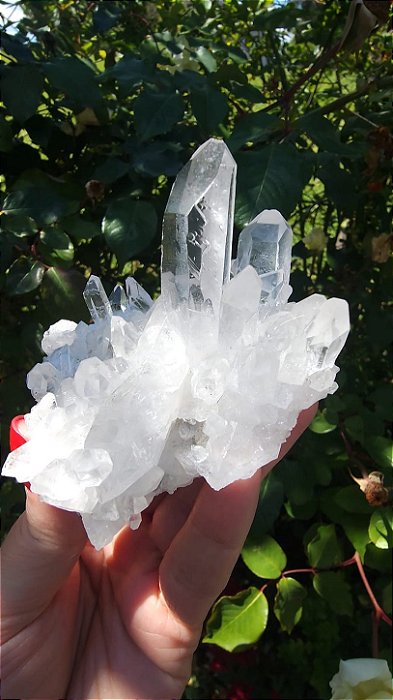 Drusa com Semente Estelar