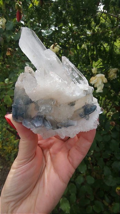 Drusa Blue Tara
