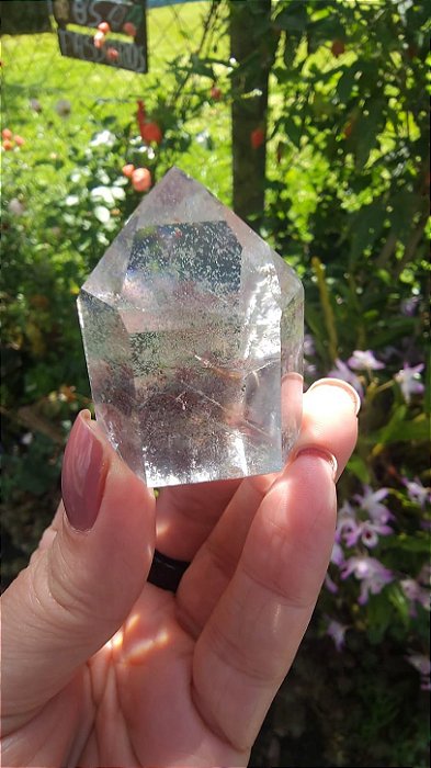 Quartzo Jardim - Cristal Xamã