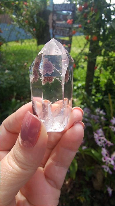 Quartzo Jardim - Cristal Xamã