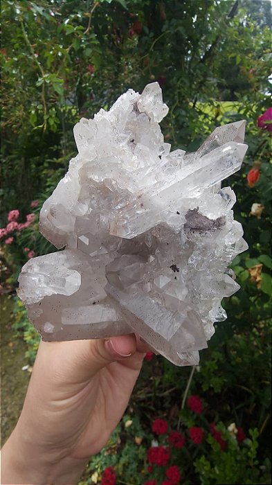 Drusa de Quartzo com Hematita