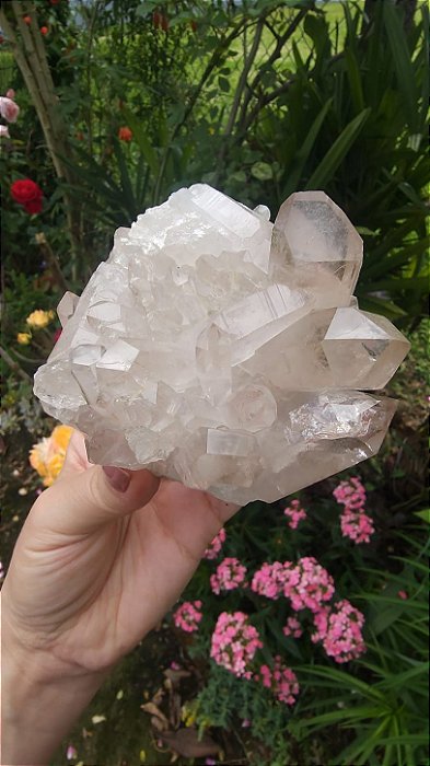 Drusa de Cristal Rosada