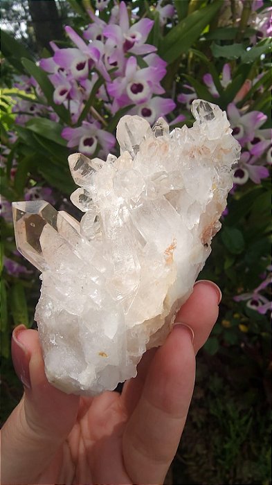Drusa de Cristal Rosada
