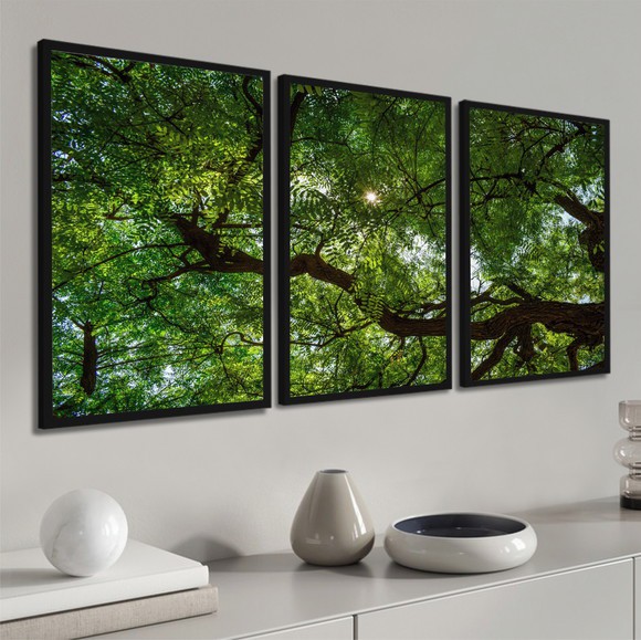 Coleção Natureza - Árvore Majestosa