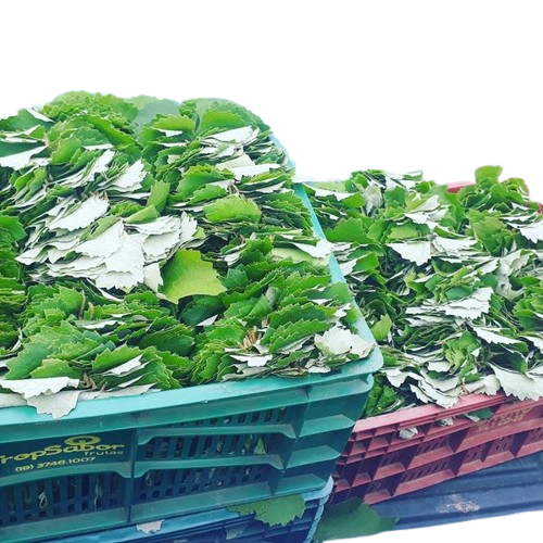 FOLHAS DE UVA - Embalagem 3Kg