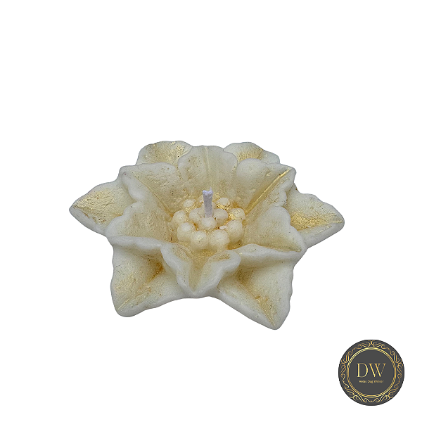 VELA AROMÁTICA FLOR NATALINA 25 GRAMAS